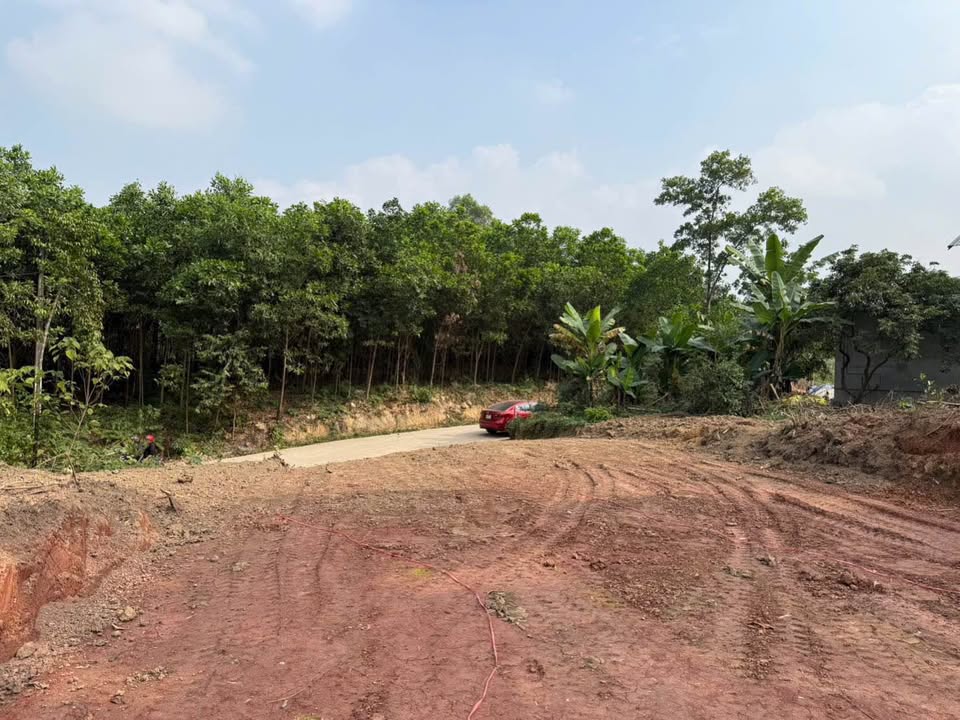 Đất Phúc Trìu Thái Nguyên 490m² - Phù hợp làm biệt thự mini hoặc nhà hàng