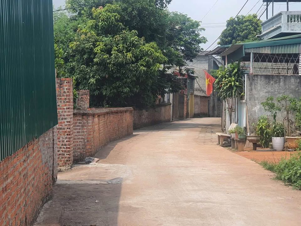 Kho xưởng 110m² tại Đồng Tâm, Vĩnh Yên - Giá 1.5 tỷ, đầu tư sinh lời!