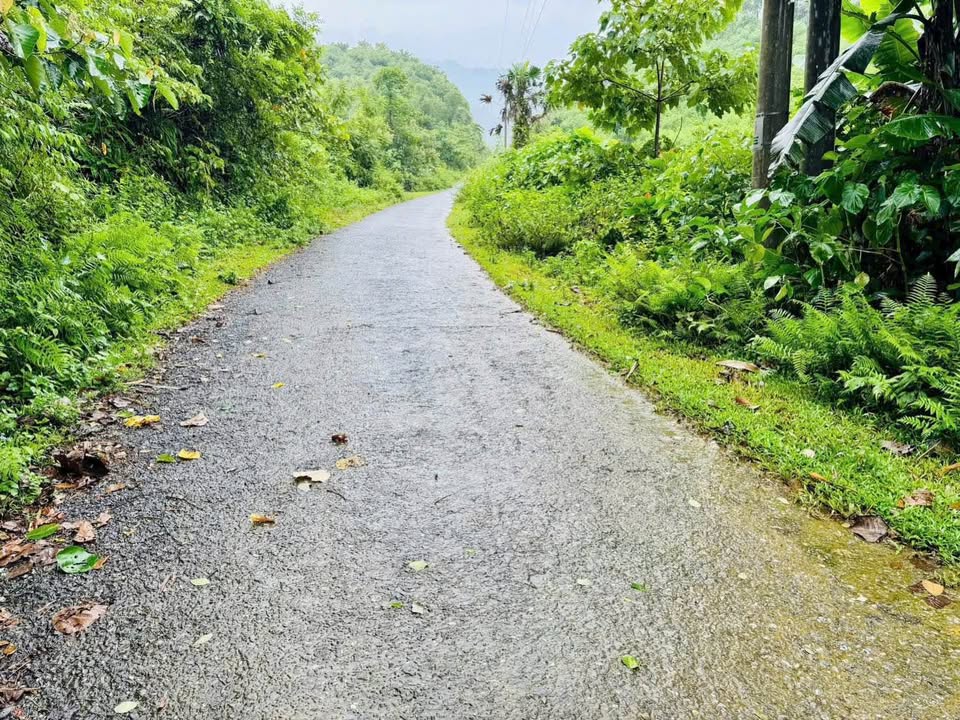 Đất nền Phúc Khánh, Yên Lập 490m² giá chỉ 330 triệu - Cơ hội đầu tư hiếm có!