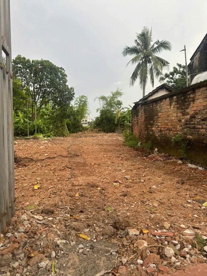 Đất xây nhà trọ tại Thiện Kế, Bình Xuyên 290m² giá 3 tỷ - Cơ hội đầu tư sinh lời!