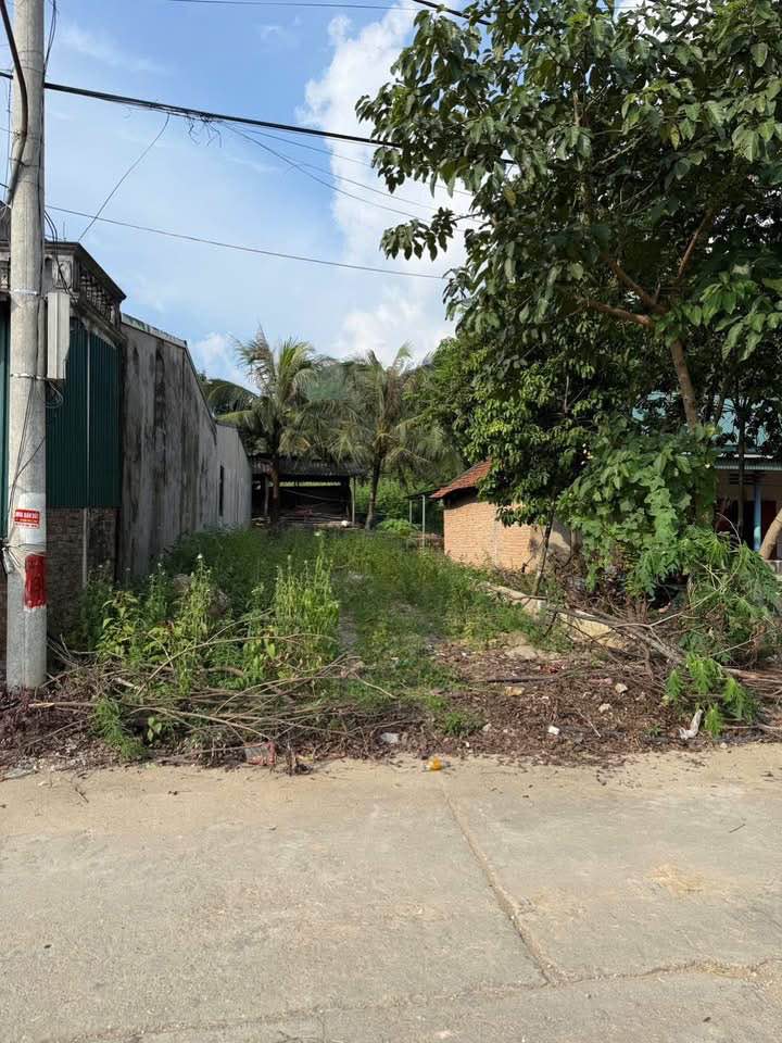 Đất nền chính chủ tại Đạo Trù - Tam Đảo, diện tích 121m², giá chỉ 700 triệu!