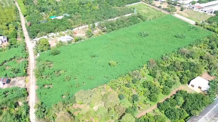 Đất nền Sông Xoài - TP Phú Mỹ 17.000m² giá 18 tỷ - Cơ hội đầu tư tuyệt vời!