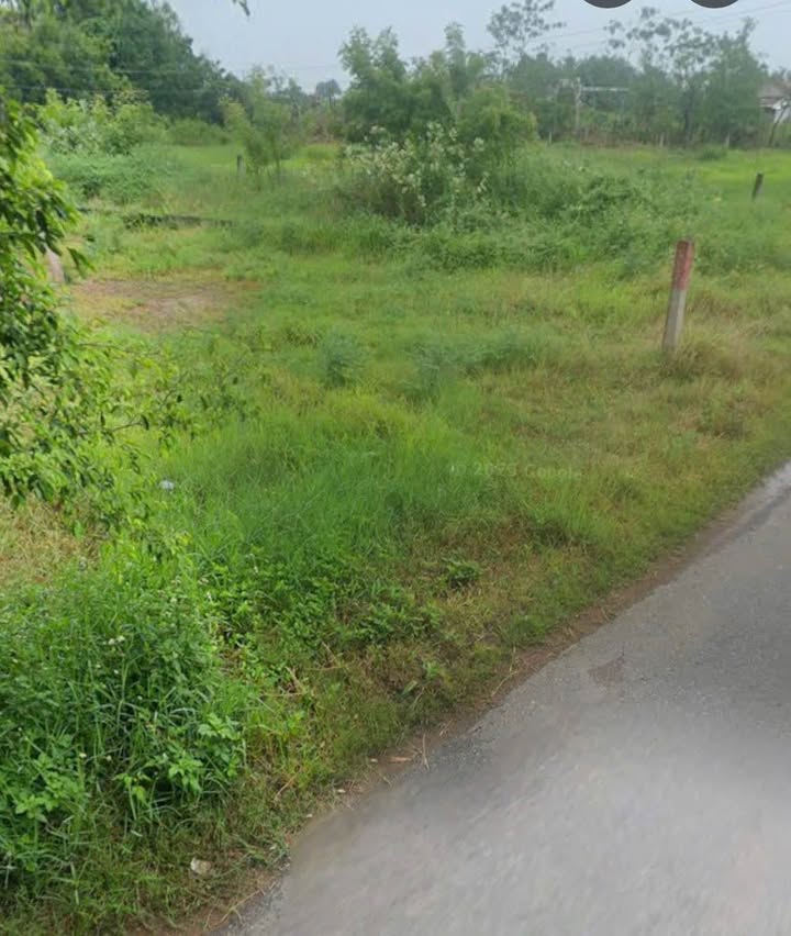 Bán đất mặt tiền đường nhựa Hàm Liêm 520m² giá 1.9 tỷ - Cơ hội đầu tư hấp dẫn!