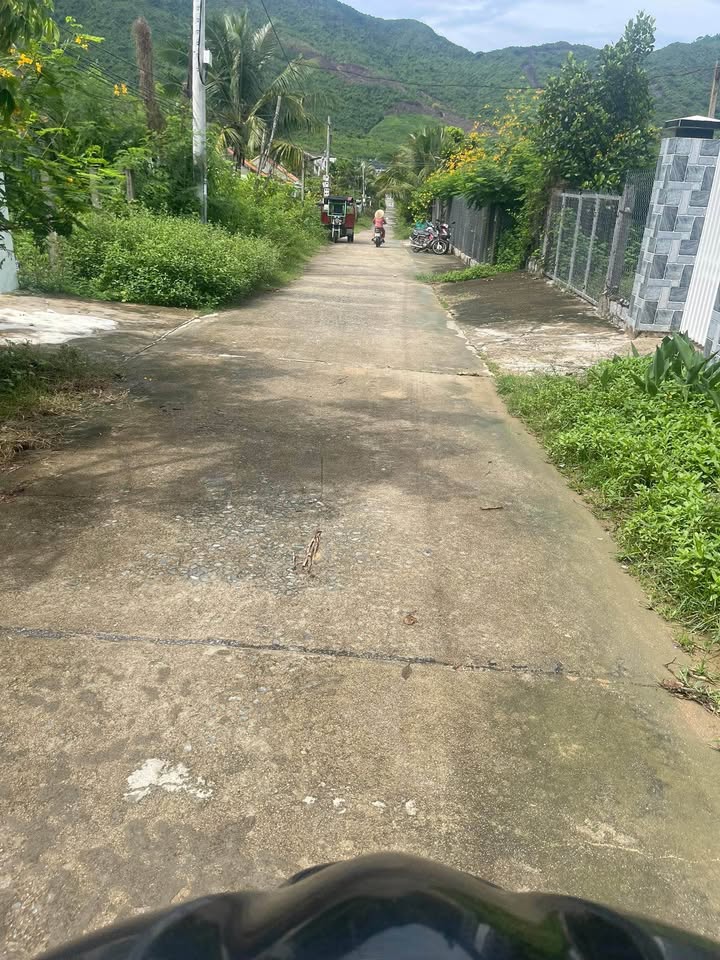 Đất Farm 9000m² tại Vạn Hưng, Khánh Hòa - Giá chỉ 7 tỷ, đầu tư lý tưởng!