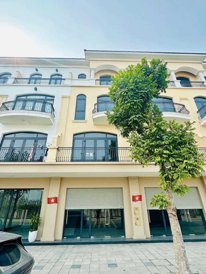Shophouse Chà Là Văn Giang 80m² giá 11.5 tỷ - Vị trí kinh doanh đắc địa!