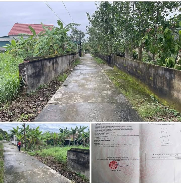 Đất nền thổ cư 264m² tại xã Xuân Hưng, Thọ Xuân - Cần bán gấp giá tốt!