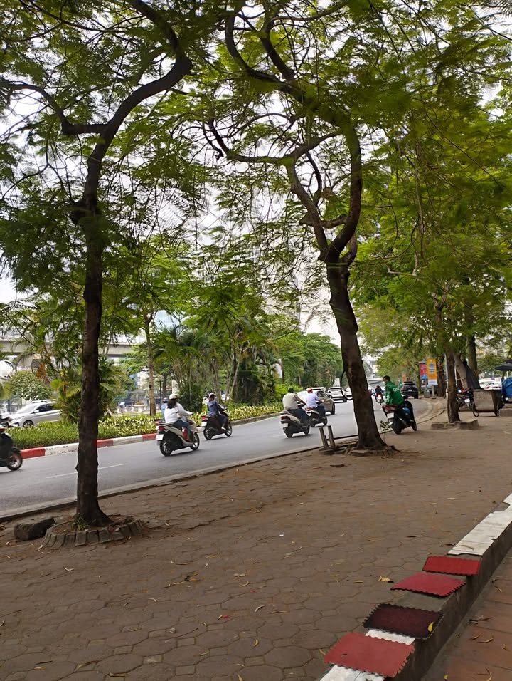 Nhà phố kinh doanh Đống Đa 98m² giá thỏa thuận - Sổ đỏ chính chủ