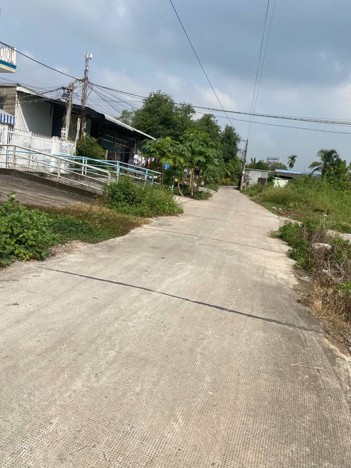 Đất nền mặt tiền Đan ấp Chánh, xã Long Hiệp, Bến Lức, 110m² - Đầu tư sinh lời!