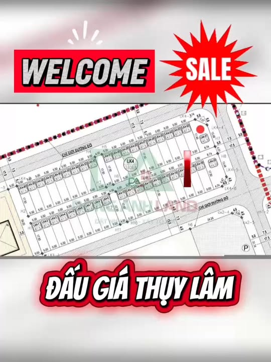 Đất đấu giá Thụy Lâm 87.5m² giá 900 triệu - Vị trí kim cương đối diện công viên!