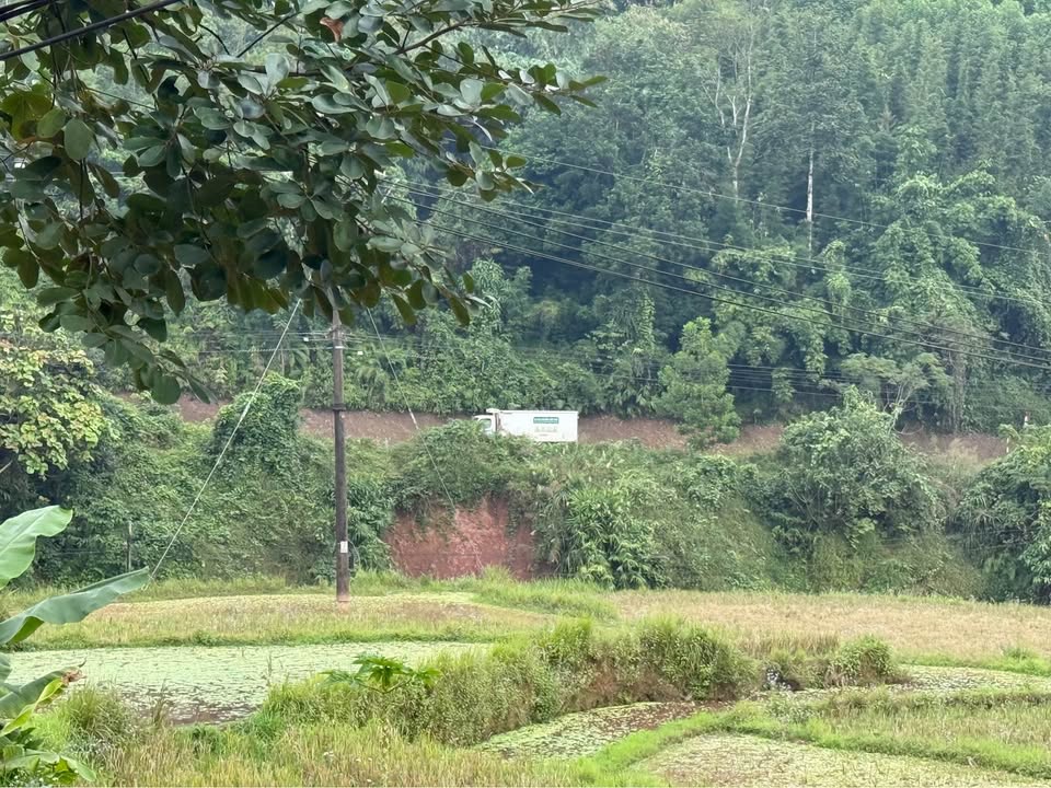 Đất nền Mường Bi Tân Sơn 141m² giá 230 triệu - Sổ đỏ chính chủ, view cánh đồng đẹp!