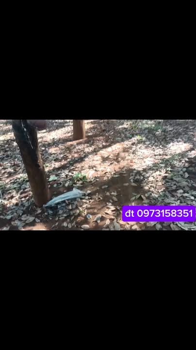 Đất thổ cư 1,2 mẫu tại Long Bình, Biên Hòa - Giá 1,4 tỷ, cơ hội đầu tư tuyệt vời!