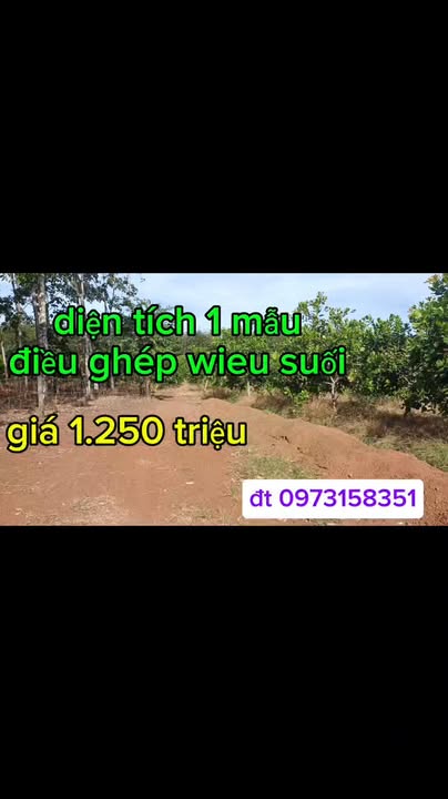 Đất Farm Đa Kia 50m² giá 1.25 tỷ - Cơ hội đầu tư hấp dẫn!