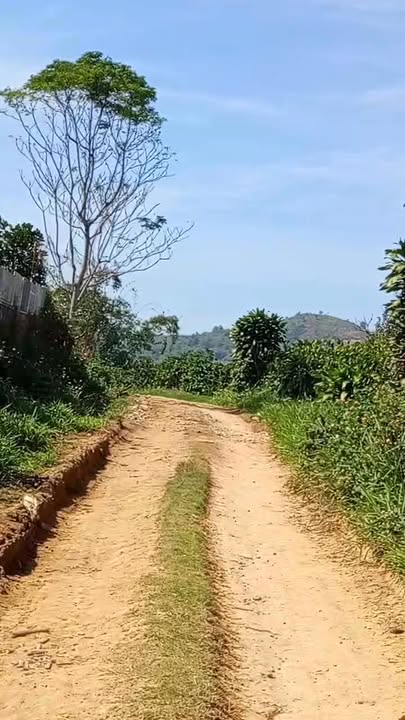 Đất nông nghiệp Bảo Thuận, Di Linh 6120m² giá 1.52 tỷ - Cơ hội đầu tư hiếm có!