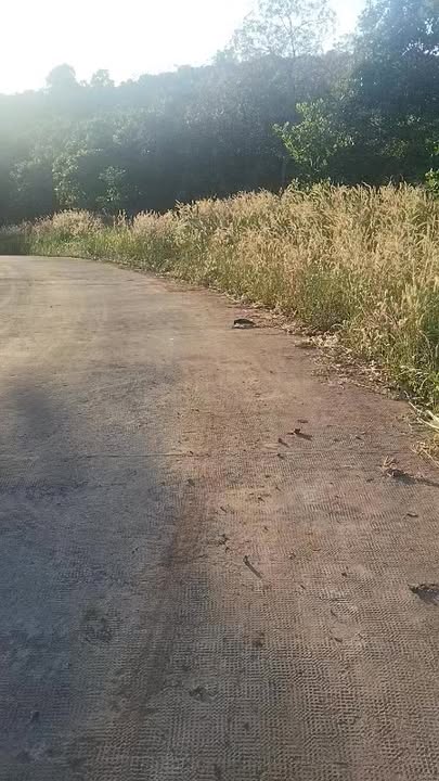 Đất nền 100m² tại xã Phú Văn, Bù Gia Mập - Cơ hội đầu tư hấp dẫn!