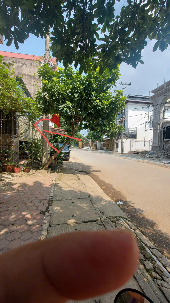 Mặt bằng kinh doanh 135 Đồng Quang 150m² giá chỉ 7 triệu - Khu vực sầm uất!