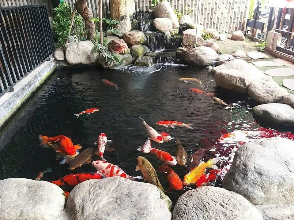 Đất nền Khu Đô Thị 1A Điện Ngọc 300m² - Vị trí đắc địa cho đầu tư