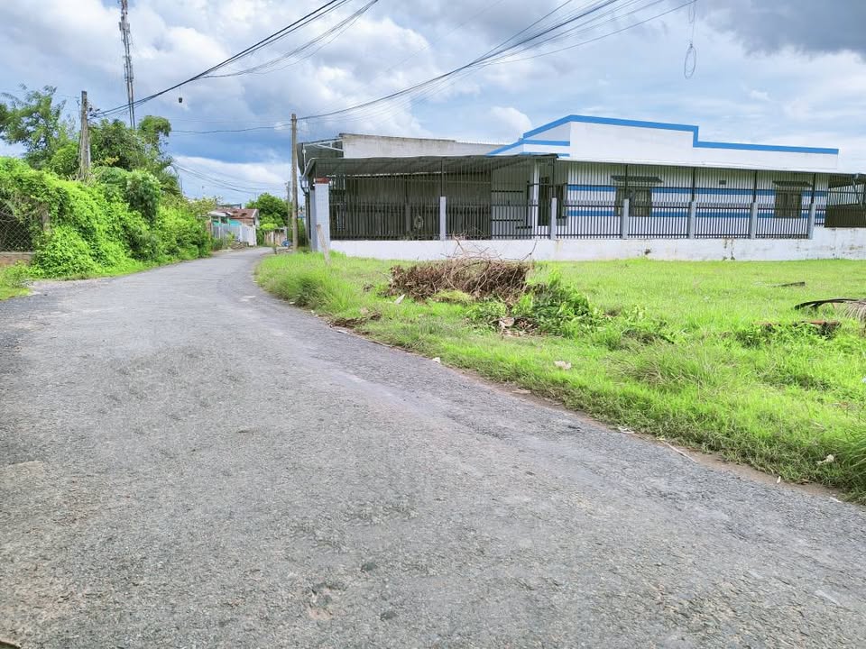 Đất nền Phú Hưng Bến Tre 123,8m² giá chỉ 980 triệu - Cơ hội đầu tư vàng!