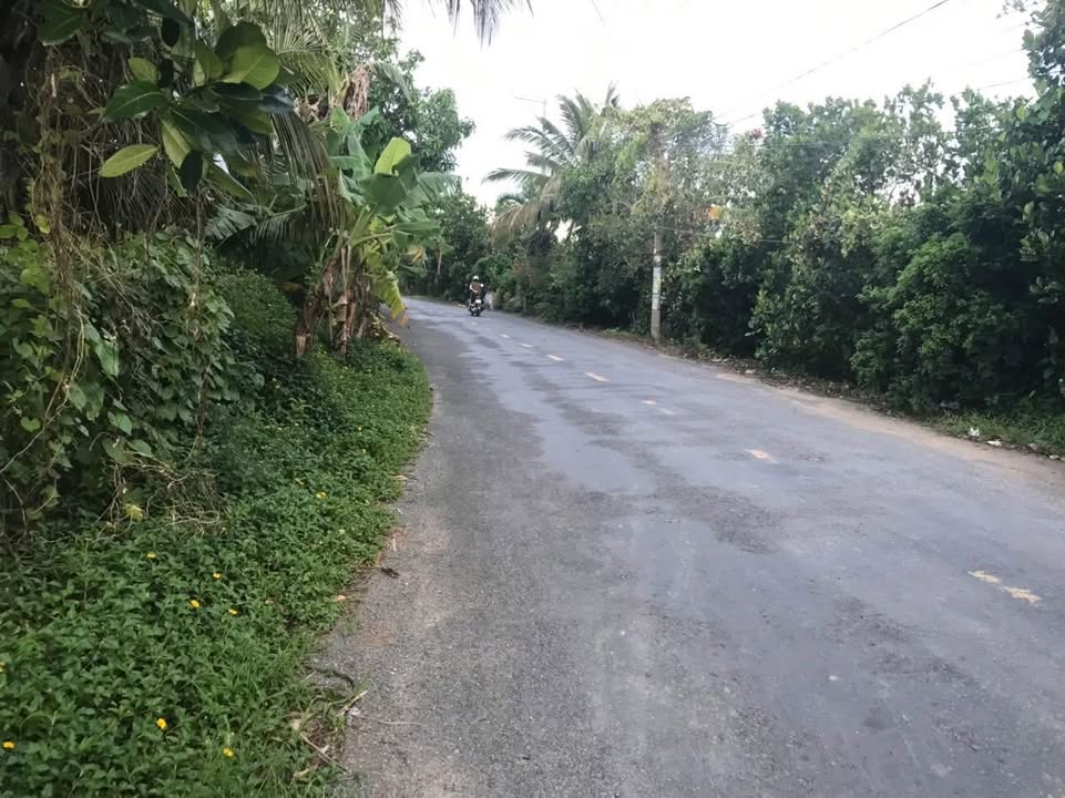 Đất mặt tiền Tỉnh lộ 864, Cái Bè 576m² giá 4 tỷ - Cơ hội đầu tư hấp dẫn!