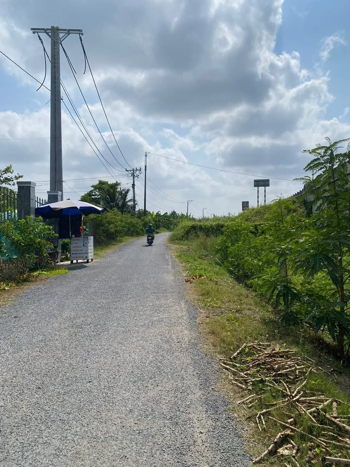 Đất CLN khu phố 2, phường 3 Cai Lậy 3443m² giá 150 triệu - Đầu tư sinh lời ngay!