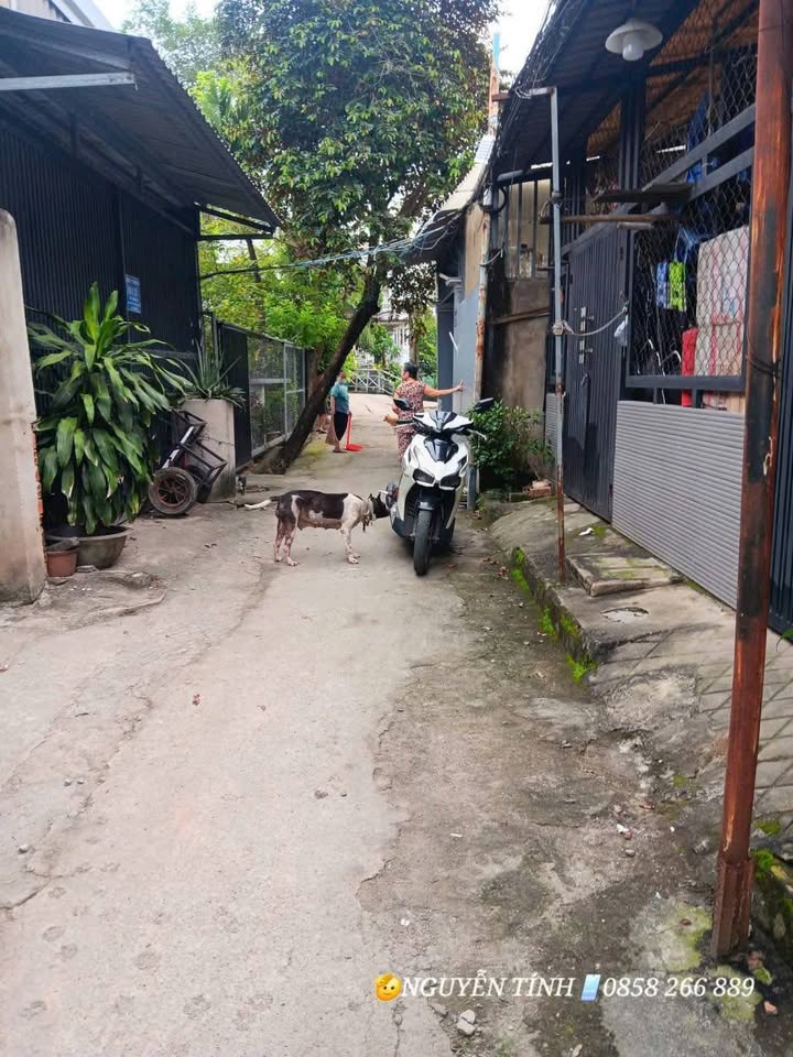 Nhà cấp 4 Vĩnh Phú 33, 91m² giá 3 tỷ - Sổ hồng riêng, ô tô vào tận nơi!