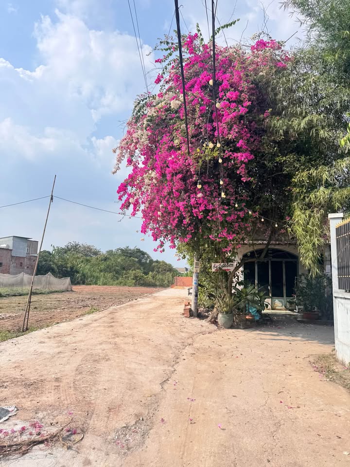 Đất nền 145m² xã Đông Thạnh, Hóc Môn giá 3.5 tỷ - Sổ hồng riêng chính chủ!