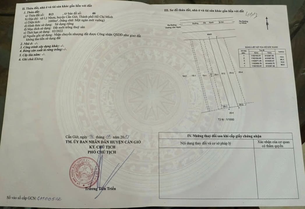 Đất nền Cần Giờ 1000m² - Đầu tư lý tưởng tại đặc khu lấn biển