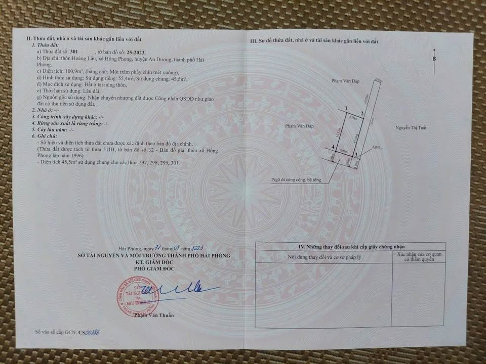 Đất liền kề Hồng Phong An Dương 60m² giá 900 triệu - Vị trí không thể tốt hơn!