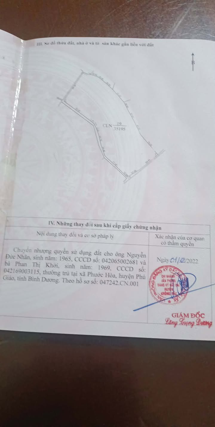 Farm cao su 3.5ha tại xã Vụ Bổn, Krông Pắc - Giá chỉ 4.2 tỷ, thu hoạch nhiều!