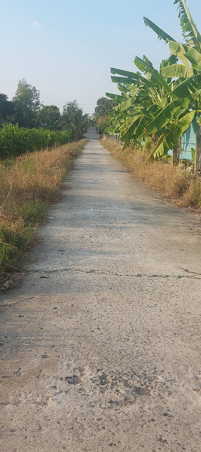 Đất bán xã Bình Hòa Nam 1200m² giá 50 tỷ - Cơ hội đầu tư vàng!