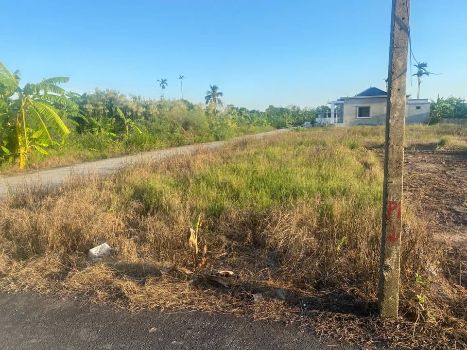 Đất nền Quang Hưng An Lão 76m² giá 600 triệu - Ô tô vào tận nơi!