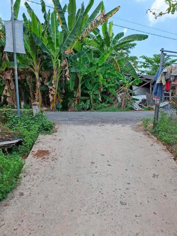 Đất nền & đất vườn Hòa An, Cao Lãnh 1.446m² giá 1.8 tỷ - Cơ hội đầu tư sinh lời!