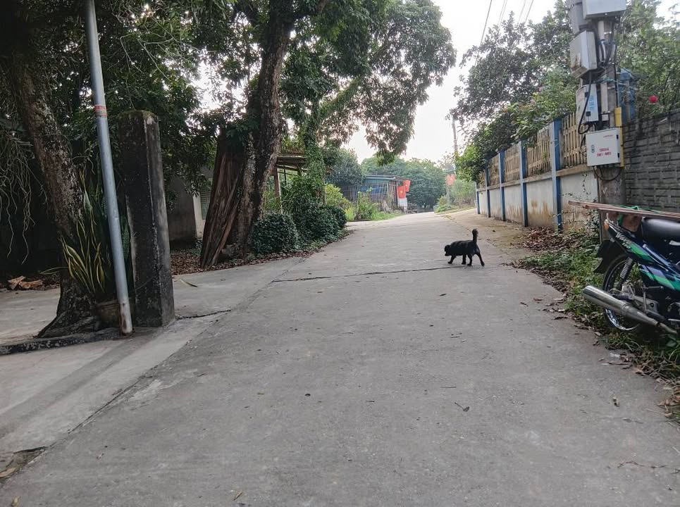 Đất nền Tuyên Quang 360m² giá thỏa thuận - Cơ hội đầu tư hấp dẫn!