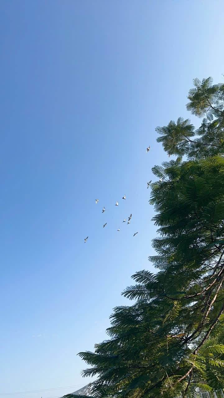 Nhà cấp 4 An Thái 60m² giá thỏa thuận - Cơ hội đầu tư tuyệt vời!