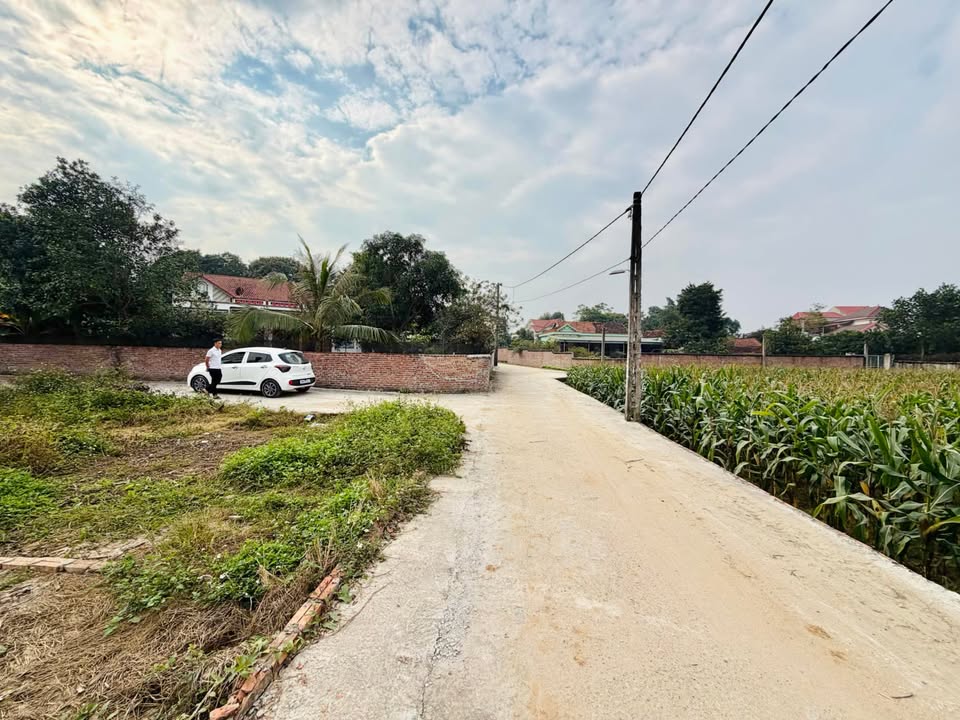 Đất nền Vạn Xuân, Tam Nông 100m² giá chỉ 5xx triệu - Vị trí đắc địa, tiện ích xung quanh!