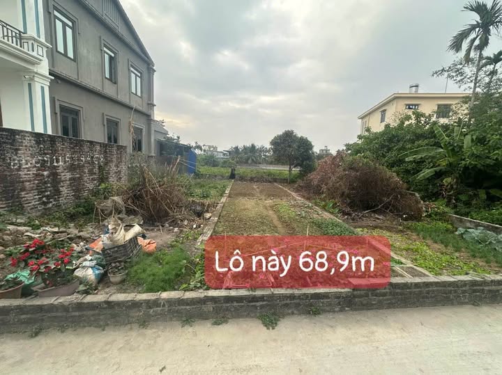 Đất Kiều Hạ, Quốc Tuấn, An Dương 68.9m² giá 1.15 tỷ - Đầu tư sinh lời dài hạn!