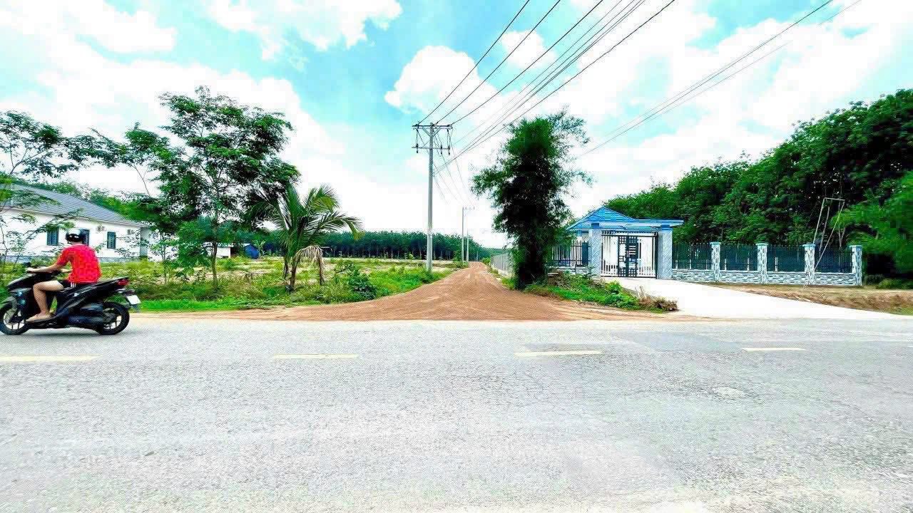 Đất nền Minh Thạnh Dầu Tiếng 100m² giá chỉ 300 triệu - Sổ hồng riêng chính chủ!