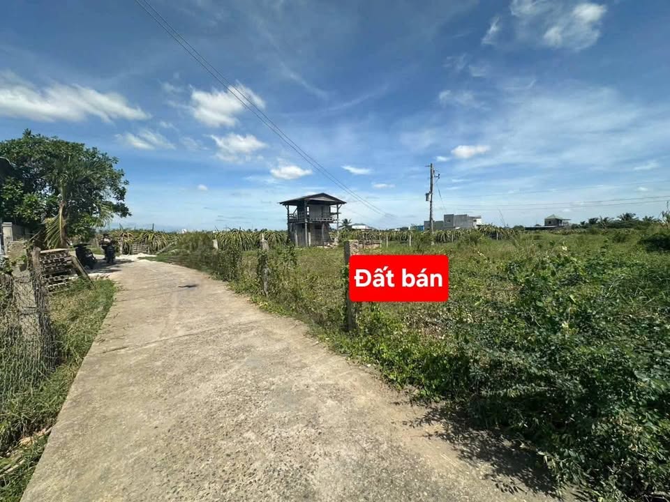 Đất cây trồng lâu năm Hàm Thắng 1 sào giá 400 triệu - Đầu tư sinh lời ngay!