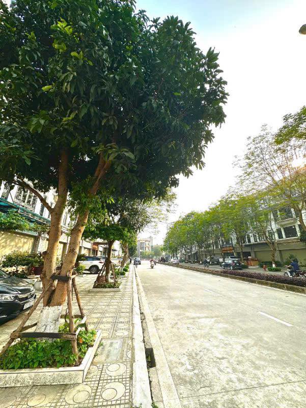 Cho thuê sàn tầng 1 tòa nhà Geleximco C, Lê Trọng Tấn - Vị trí đắc địa cho kinh doanh!