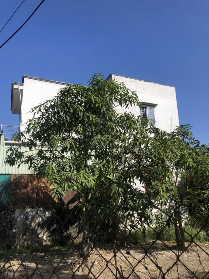 Nhà riêng Hưng Long, Bình Chánh 98.7m² giá 2.5 tỷ - Sổ hồng riêng, ô tô vào tận nơi!