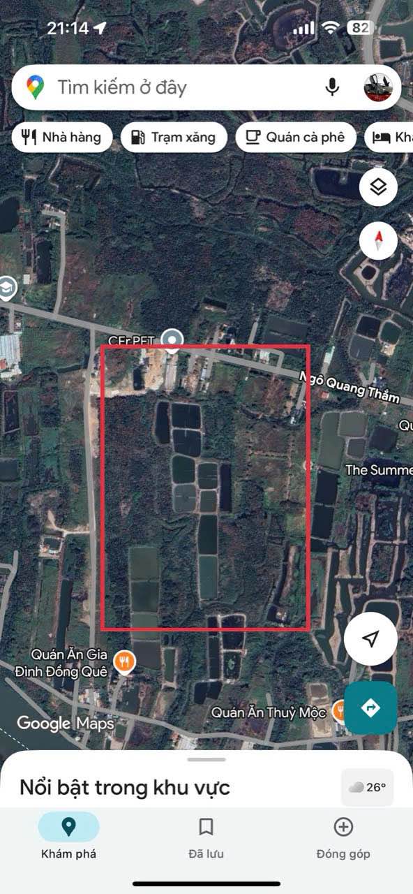 Bán Lô Đất 40.000m² Mặt Tiền Đường Ngô Quang Thấm, Nhà Bè - Giá Chỉ 8 Triệu/m²