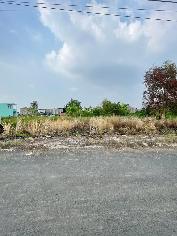 Đất nền Cần Đước 150m² giá 560 triệu - Sổ hồng riêng, vị trí thuận lợi!