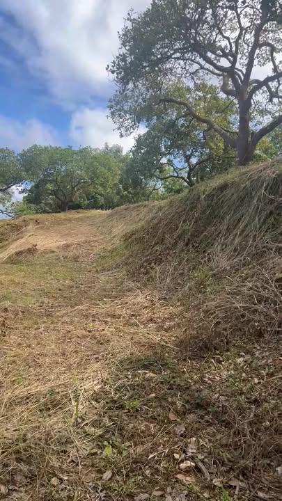 Đất nông nghiệp 20.000m² tại Ea T'ling, Cư Jút giá 5.76 tỷ - Đầu tư sinh lời hấp dẫn!