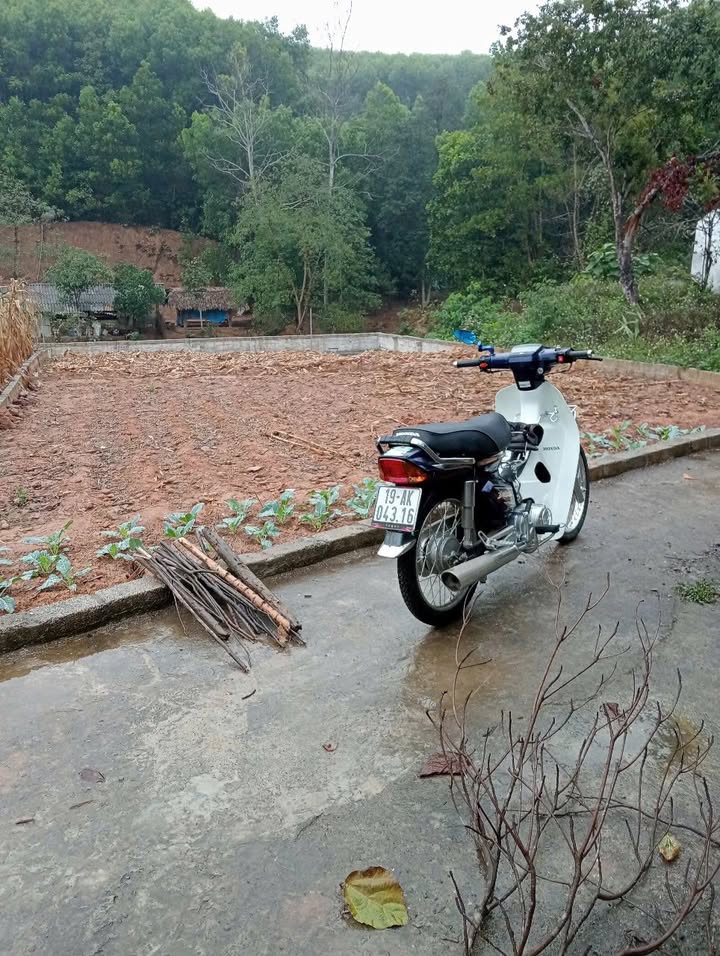 Đất nền Sơn Thủy, Thanh Thủy, Phú Thọ 225m² chỉ 500 triệu - Sổ hồng chính chủ ngay!