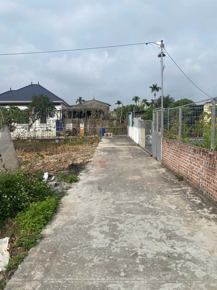 Lô đất Hồng Thái An Dương 100m² giá chỉ 1.6 tỷ - Ngõ thông thoáng, ô tô vào tận nơi!