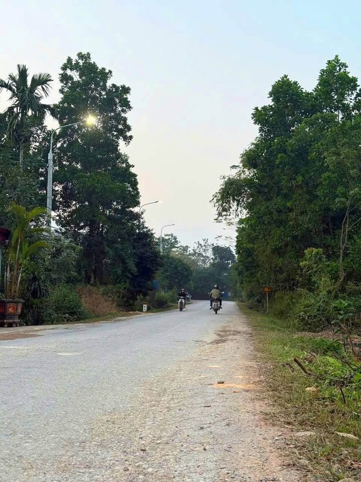 Đất nền Phúc Thuận, Phổ Yên 2000m² giá 3 tỷ - Cơ hội đầu tư hiếm có!