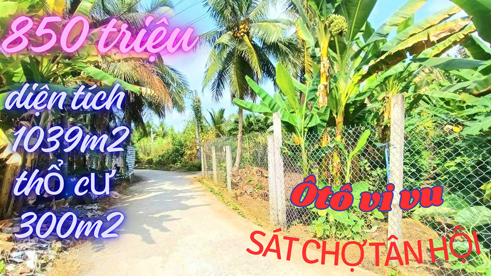 Đất thổ cư Tân Hội, TX Cai Lậy 1.039m² giá 850 triệu - Đầu tư sinh lời ngay!