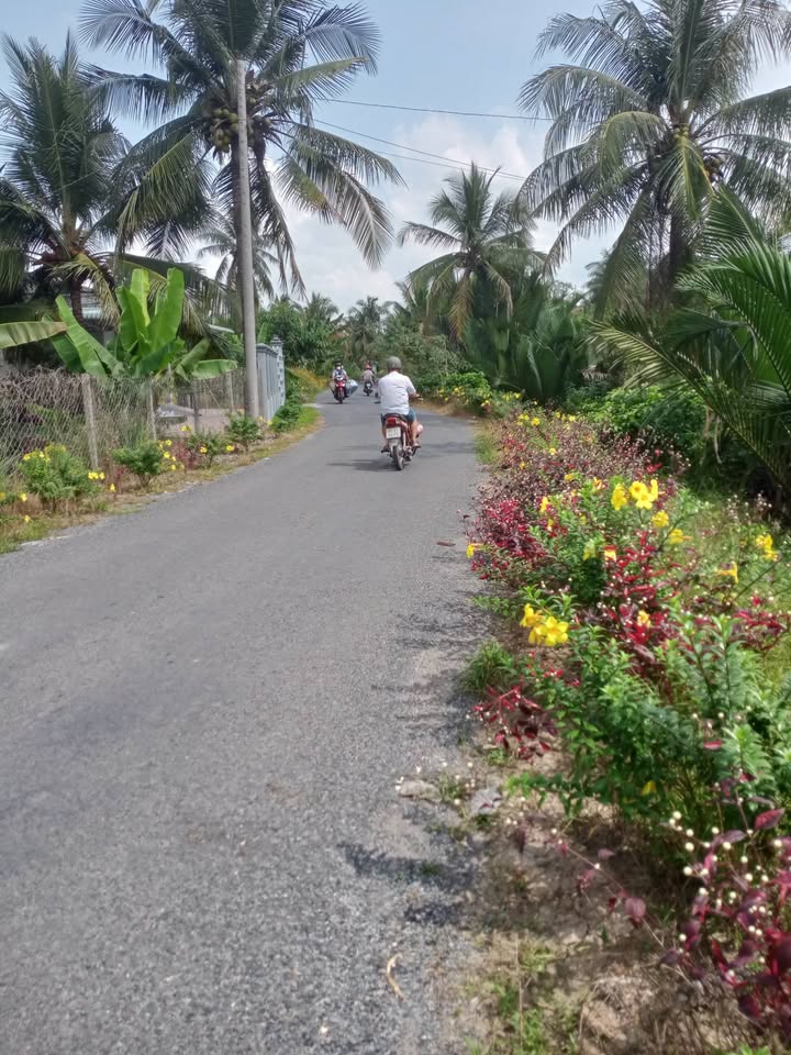 Đất nền Trà Côn Vĩnh Long 175m² giá chỉ 350 triệu - Đường nhựa, dân cư đông đúc