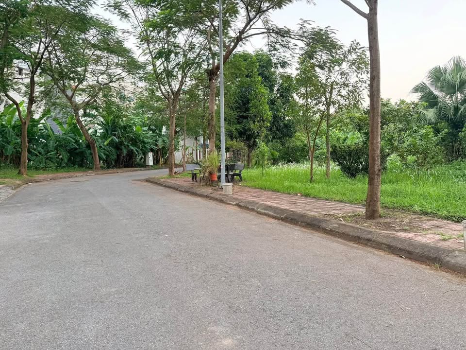 Đất dự án Khu đô thị Nam Đầm Vạc 171m² giá thỏa thuận - Hướng Đông, không gian thoáng đãng!