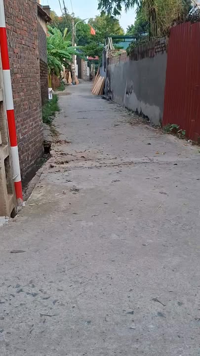 Đất thổ cư xã Bình Định, Yên Lạc 110m² giá 1.3 tỷ - Ô tô vào tận đất!