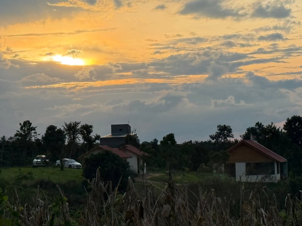 Đất 4 sào tại xã Quảng Tiến, huyện Cư M'gar, giá 2.5 tỷ - Đầu tư sinh lời ngay!